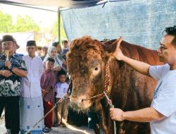 Presiden Prabowo Pilih Prupuk Selatan Tegal untuk Penyaluran Sapi Kurban Idul Adha 2025