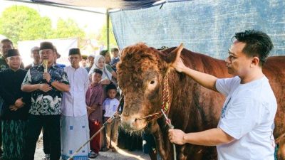 Presiden Prabowo Pilih Prupuk Selatan Tegal untuk Penyaluran Sapi Kurban Idul Adha 2025